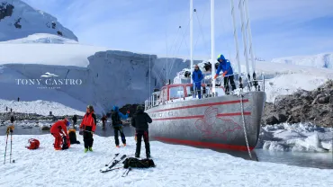 Pelagic 77