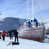 Pelagic 77