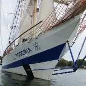 STS Pogoria